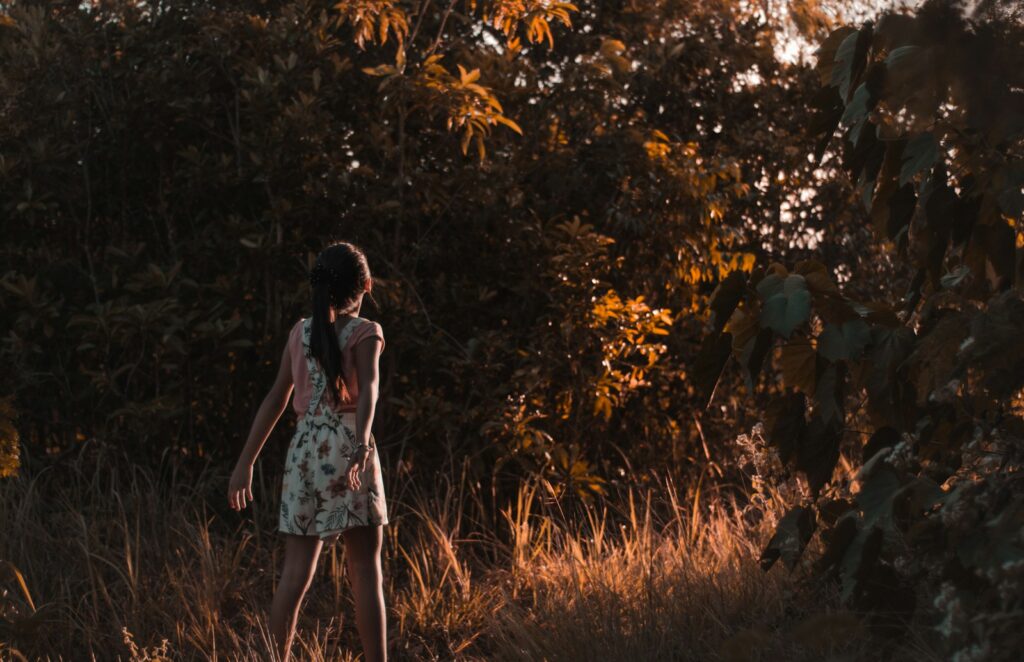 Person walking a quiet forest path in warm light