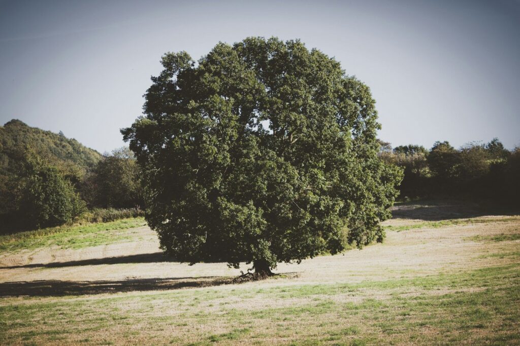 Heal and Restore practice photo