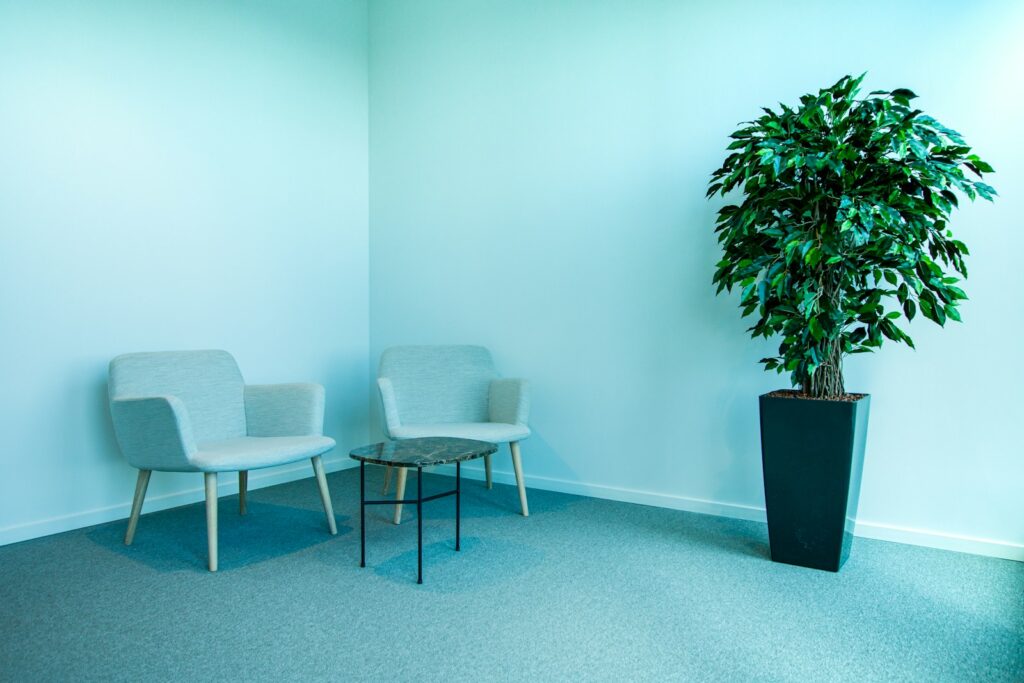 Sunlit seating area with plants and a large window